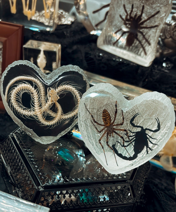 Heart Shaped Snake Skeleton Lucite