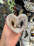 Heart Shaped Double Scorpion Lucite
