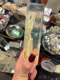 Bullfrog Skeleton Lucite