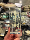 Mouse Skeleton Lucite