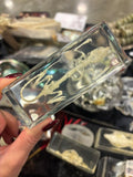 Mouse Skeleton Lucite