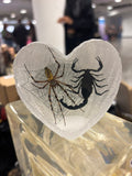 Heart Shaped Scorpion & Spider Lucite