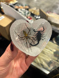 Heart Shaped Scorpion & Spider Lucite