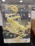 Large Bird Skeleton Lucite