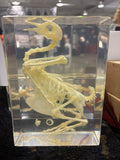 Large Bird Skeleton Lucite