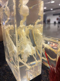 Large Bird Skeleton Lucite