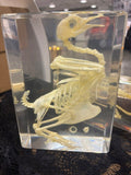 Large Bird Skeleton Lucite
