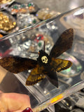 Death's Head Moth Lucite