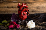 Red Anatomical Heart Vase