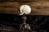 Conjoined Twins Statue