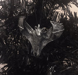 Soaring Fruit Bat Ornament