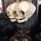Conjoined Twins Statue