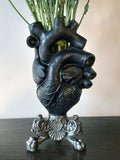 Black Anatomical Heart Vase