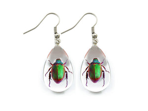 Green Rose Chafer Beetle Earrings