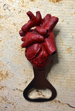 Anatomical Heart Bottle Opener