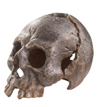 Macbeth Cast Iron Skull