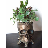 Human Skull Planter Bronze