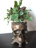 Human Skull Planter Bronze