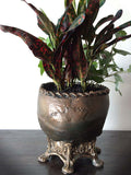 Human Skull Planter Bronze