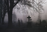 Eerie Fog Stretched Canvas