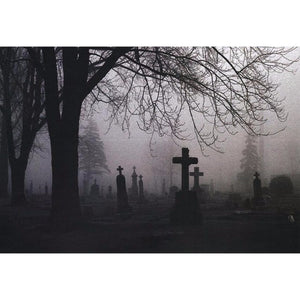 Eerie Fog Stretched Canvas