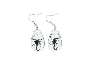 Black Scorpion Earrings