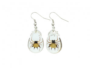 Spiny Spider Earrings