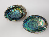 Large Abalone Shell